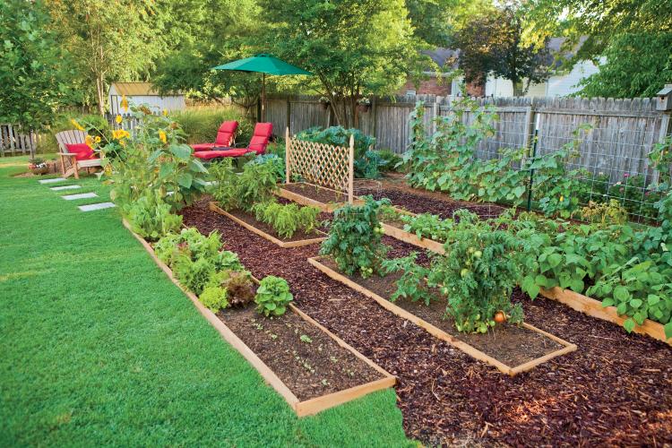 8 Impressive Ways to Growing more in Your Garden Space
