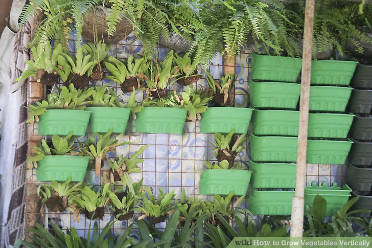 8 Impressive Ways to Growing more in Your Garden Space pots