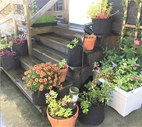 8 Impressive Ways to Growing more in Your Garden Space steps