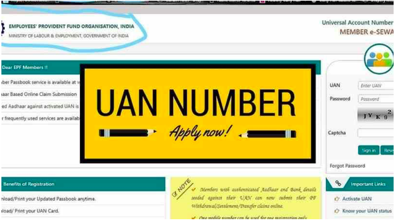 How to get your UAN Number from the Employer or the EPFO Portal?