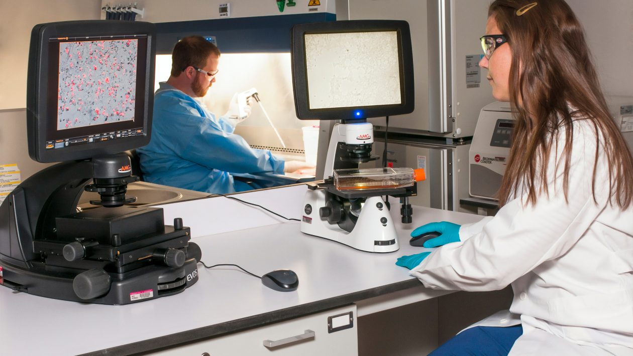 about the mitochondrial disease