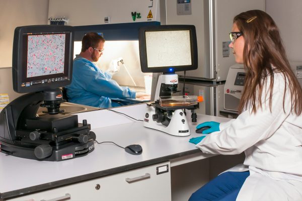 about the mitochondrial disease